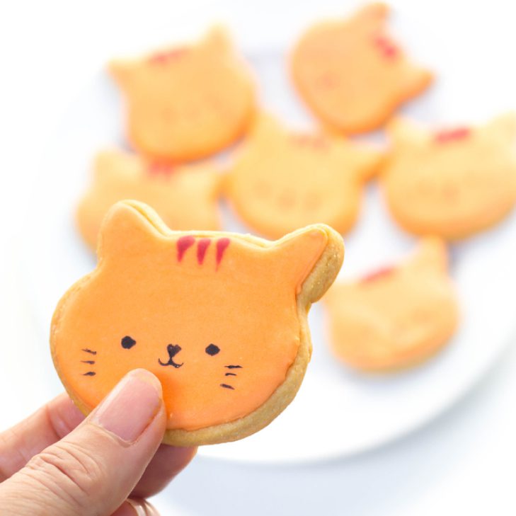Galleta gato